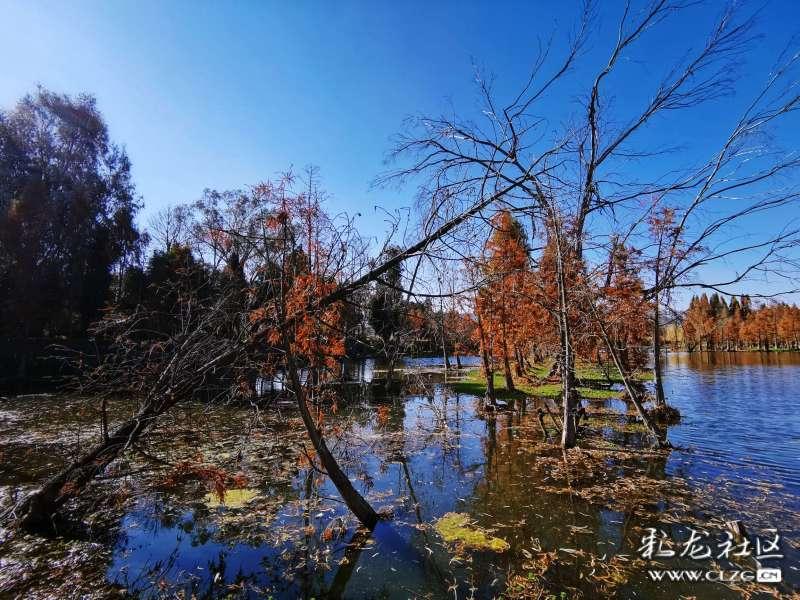 探索天涯,解开心中疑惑——会馆浜新村与中华恐龙园有多远距离交流平台
